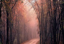 九游：[乒乓球]孙颖莎轻松获胜 晋级新加坡大满贯第二轮.