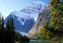 遭巴拉圭球迷辱骂，比达尔手势回应：我有两个美洲杯冠军.